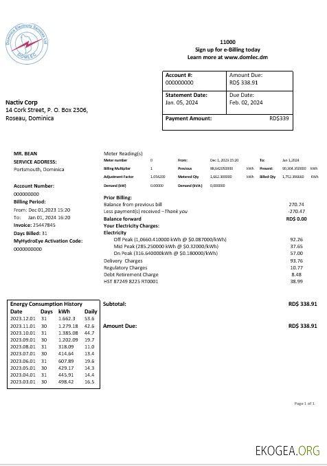 Dominica Electricity Services Limited Facture de services publics pour les entreprises d'électricité aux formats Word et PDF